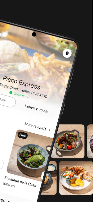 Pisco Express Screenshot 1
