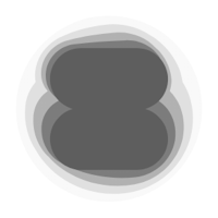 Flash Shape - Visual Memory