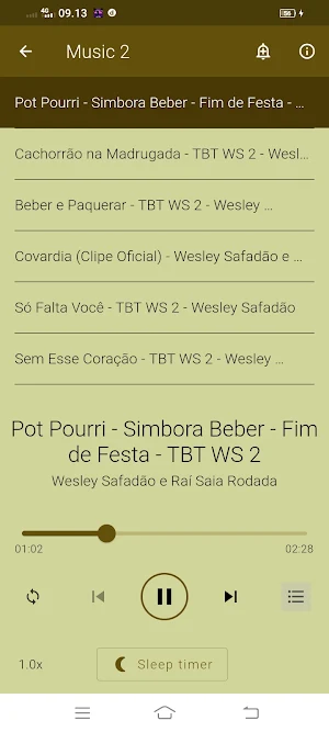 Wesley Safadão Musica Offline Screenshot 3