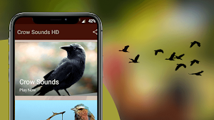 Crow Sounds - Crow Calls & Ringtones Screenshot 1