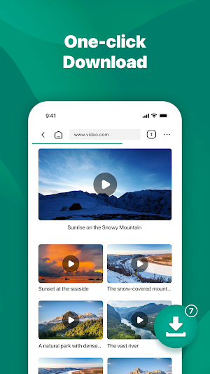 SkyMotion Player Screenshot 1