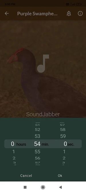 Purple Swamphen Sounds Screenshot 3