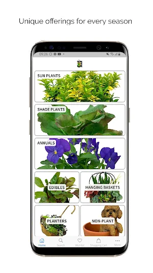 The Garden Corner Store Screenshot 2