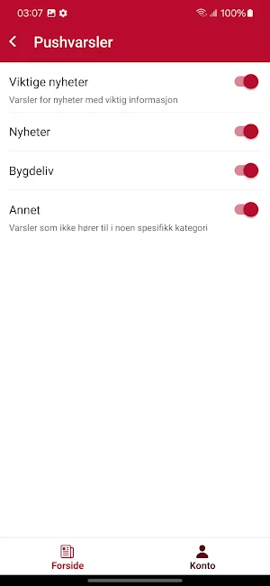 Tynsetingen Screenshot 3