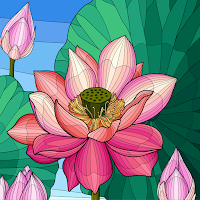 Senior Coloring by Number