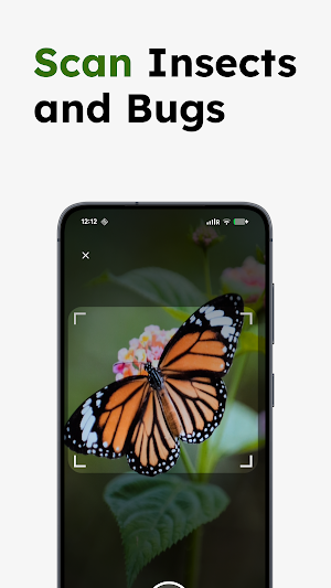 Insect Identifier - Insectr Screenshot 1
