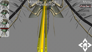 3D Mosquito Explorer Screenshot 3
