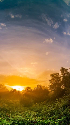 Morning Glory Wallpaper Screenshot 1