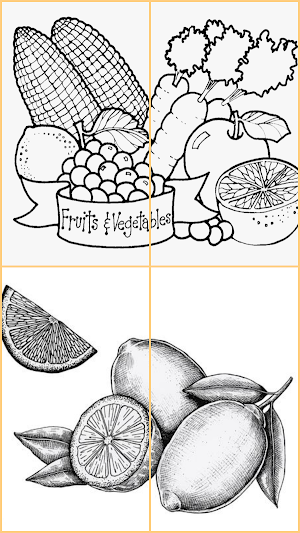 Drawing Fruits and Vegetables Screenshot 2
