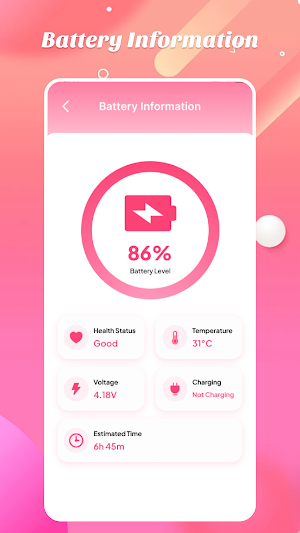 FastSweeper Clean Screenshot 3