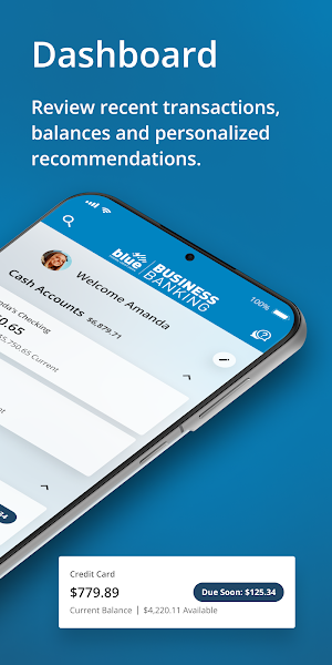 Blue Business Banking Screenshot 1