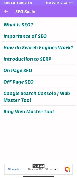 Learn Digital Marketing Course Screenshot 3