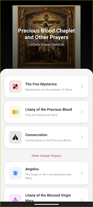 Precious Blood Chaplet Screenshot 1