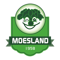 Moesland