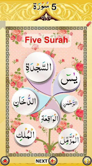 Five Surah with Sound (Color Coded) Screenshot 1