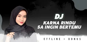 Lagu Dj Karna Rindu Offline Screenshot 0