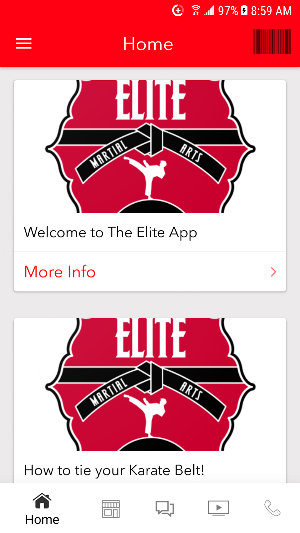 Elite Martial Arts Screenshot 3