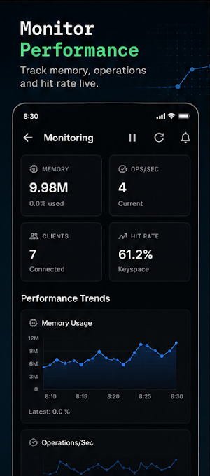 Redis Explorer Screenshot 3