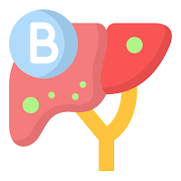 Hep B Treatment | Nutrition