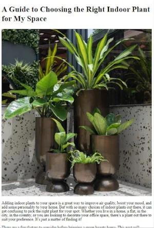 Indoor Plants Tutorial Screenshot 2