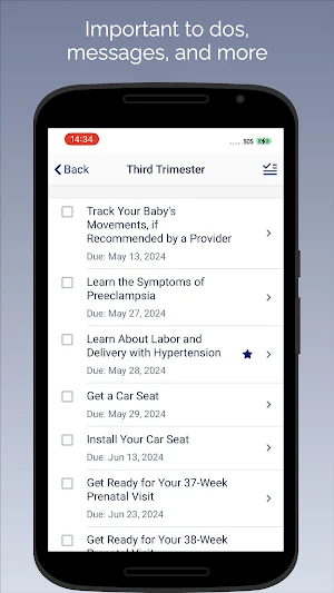 Saint Peter’s Baby Steps Screenshot 1