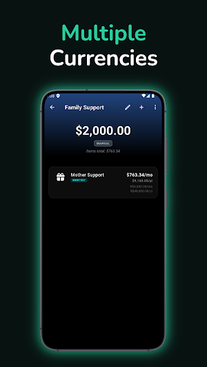 Liquify: Budget Planner Screenshot 2
