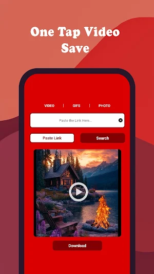 Pinterest Video Downloader Screenshot 2