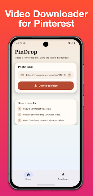 Video Downloader for Pinterest Screenshot 0