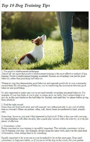 Dog Trainning Guide Screenshot 1