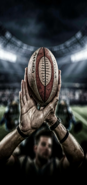 Rugby Wallpapers Screenshot 0