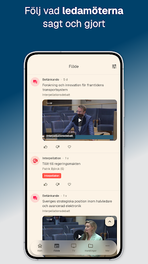 Riksdagsinsyn Screenshot 2