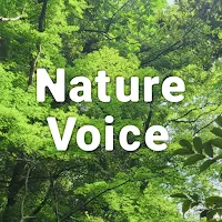 NatureVoice(BGM For Sleep)