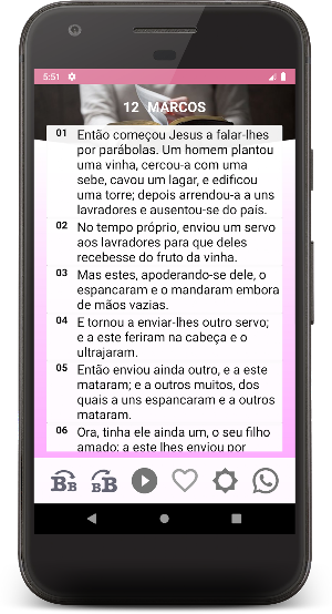 Bíblia da Mulher Screenshot 3