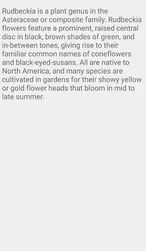 Rudbeckia flower Screenshot 1