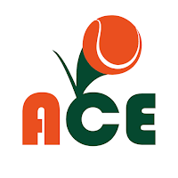 Ace Tennis: Your Stats