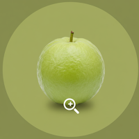 Guava Maturity Detector