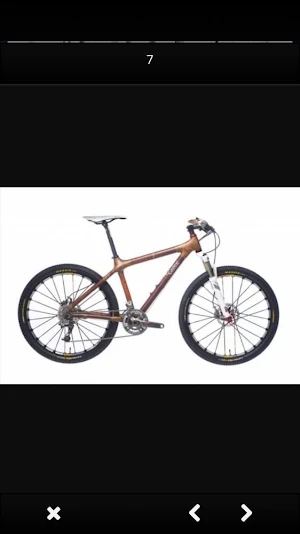 Bamboo Bicycle Designs Screenshot 3