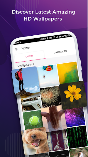 Surface Background Screenshot 1