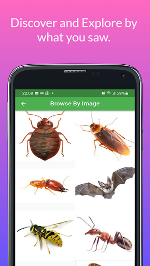 PEST FLASH Pest Control Screenshot 2