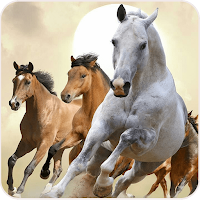 Horse Wallpaper