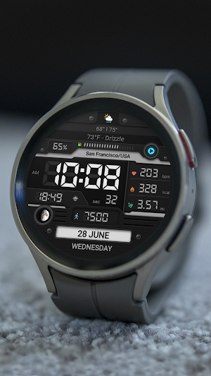 WFP 052 Digital watch face Screenshot 2