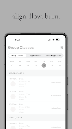 Cue Pilates Screenshot 2