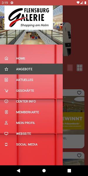 Flensburg Galerie Screenshot 0