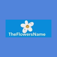 TheFlowerNames