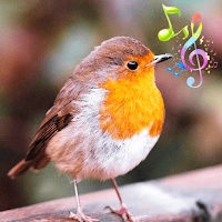 Singing Birds