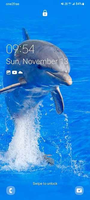 Dolphins Wallpaper Screenshot 0