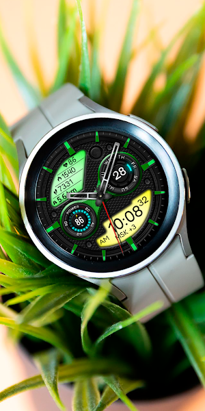 RAMANOL Sport CTS03 Watch face Screenshot 3