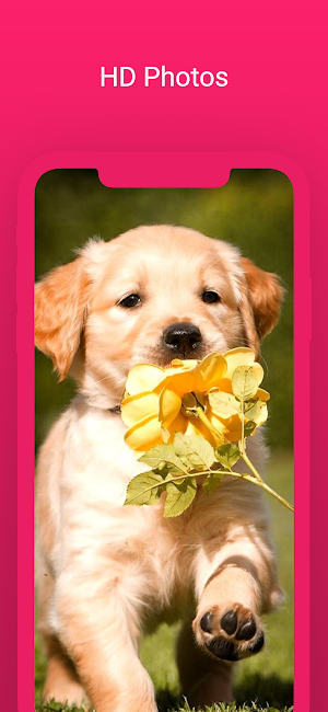 Cute dog wallpapers puppy Screenshot 2