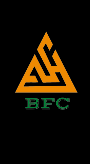 Buyer First Confidence BFC Screenshot 0