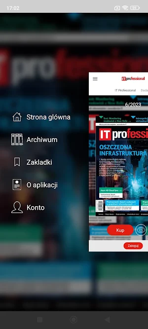 IT Professional Screenshot 2